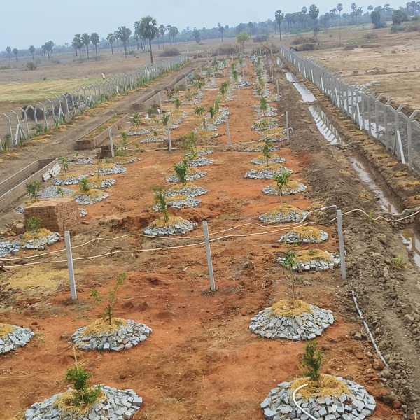 Agricultural Land 1 Acre for Sale in Chandur, Nalgonda