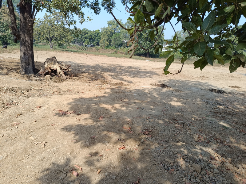  Agricultural Land 10000 Sq.ft. for Sale in Narayanganj, Mandla