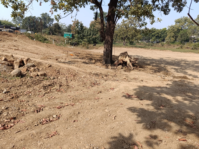  Agricultural Land 10000 Sq.ft. for Sale in Narayanganj, Mandla