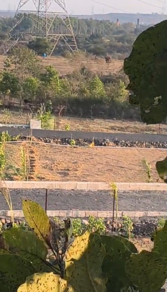  5000 Sq.ft. Agricultural/Farm Land for Sale in Bhedaghat, Jabalpur