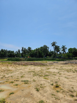  Agricultural Land for Sale in Paramakudi, Ramanathapuram