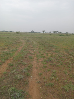  Agricultural Land for Sale in Vallioor, Tirunelveli