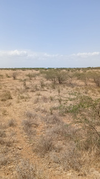  Agricultural Land for Sale in Kalakkad, Tirunelveli
