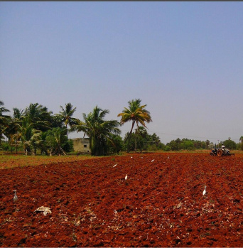  Agricultural Land for Sale in Mahilchi Nagar, Tirunelveli