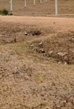  Commercial Land for Sale in Reddiarpatti, Tirunelveli