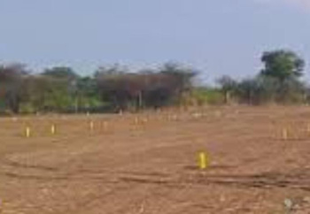  Commercial Land for Sale in Tenkasi, Tirunelveli