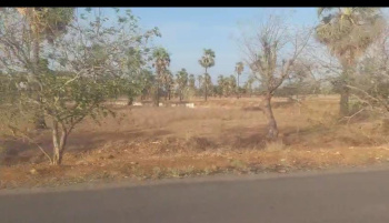  Agricultural Land for Sale in Sankarankoil, Tirunelveli