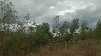  Agricultural Land for Sale in Tenkasi, Tirunelveli