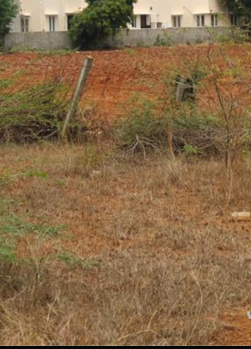  Commercial Land for Sale in Sakthi Nagar, Pollachi, Coimbatore