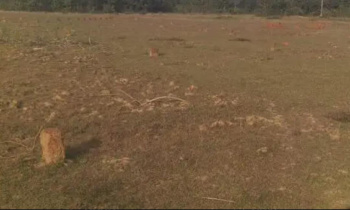  Commercial Land for Sale in Karumathampatti, Coimbatore
