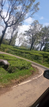  Industrial Land for Sale in Kotagiri, Ooty