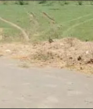  Commercial Land for Sale in Kolathur, Chennai