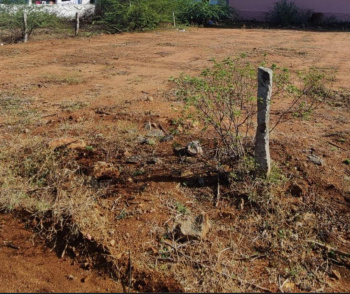  Residential Plot for Sale in Vallioor, Tirunelveli