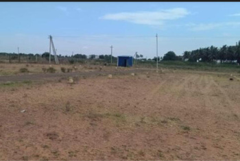  Commercial Land for Sale in Egmore, Chennai
