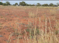  Commercial Land for Sale in Kuniyamuthur, Coimbatore