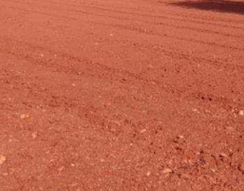 Agricultural Land for Sale in Thisayanvilai, Tirunelveli