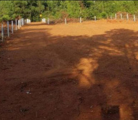  Commercial Land for Sale in Palayamkottai, Tirunelveli