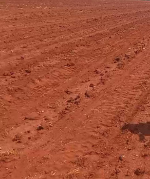  Agricultural Land for Sale in Sankarankoil, Tirunelveli