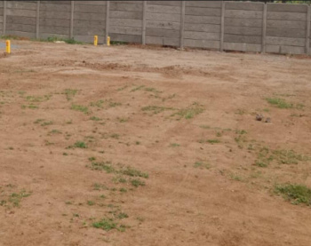  Residential Plot for Sale in Thirukarungudi, Tirunelveli