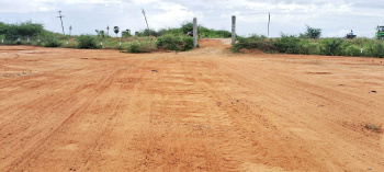  Agricultural Land for Sale in Thathankulam, Thoothukudi