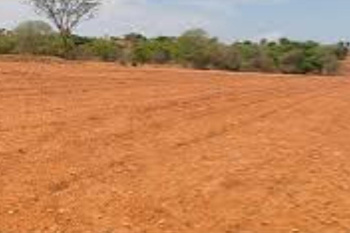  Agricultural Land for Sale in Vagaikulam, Thoothukudi