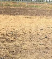  Commercial Land for Sale in Sriperumbudur, Chennai