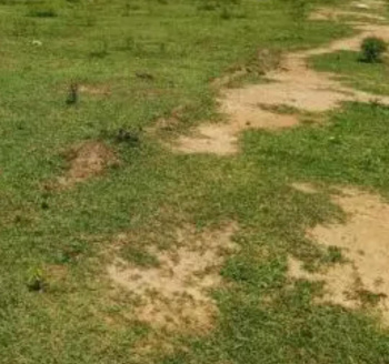  Residential Plot for Sale in Mogappair, Chennai