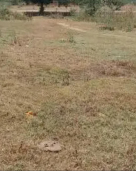  Commercial Land for Sale in Thindivanam, Chennai