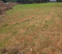  Residential Plot for Sale in Akkarai, Chennai