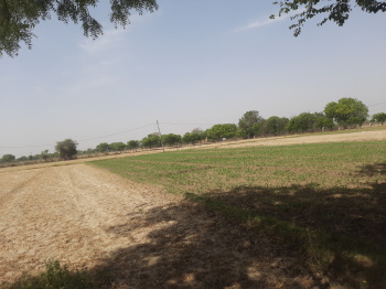  Agricultural Land for Sale in Nagla Sabla, Agra