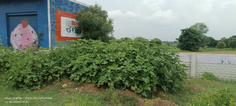  Residential Plot 11 Bigha for Sale in Fatehabad Road, Agra