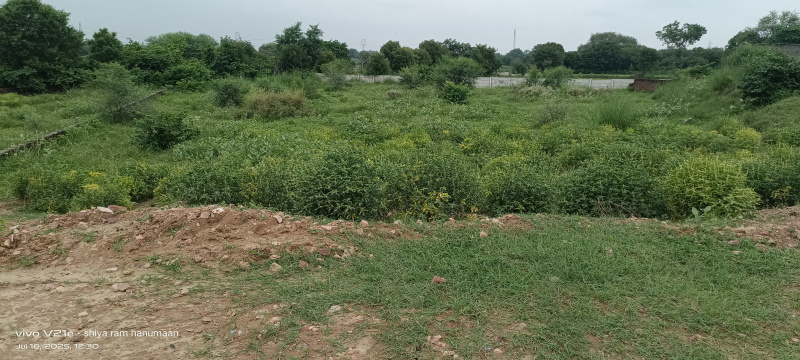  Residential Plot 11 Bigha for Sale in Fatehabad Road, Agra