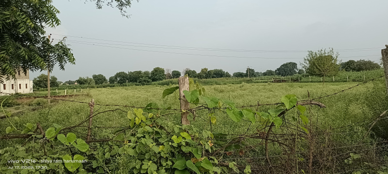  Residential Plot 2 Bigha for Sale in Kheria, Agra