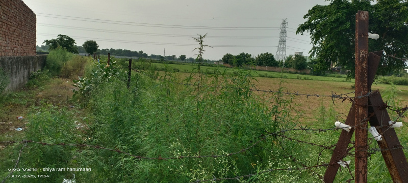  Residential Plot 1 Bigha for Sale in Fatehabad Road, Agra