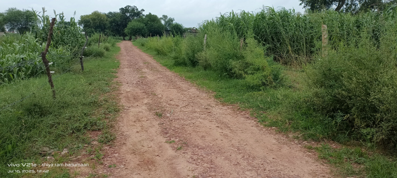  Residential Plot 1 Bigha for Sale in Fatehabad Road, Agra