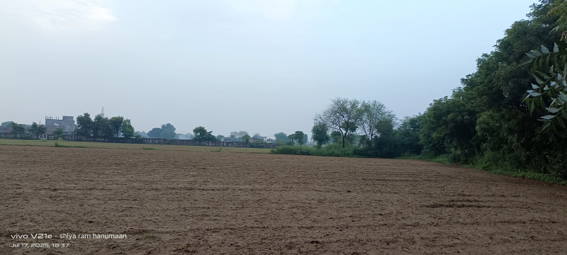  Residential Plot 30 Bigha for Sale in Fatehabad Road, Agra