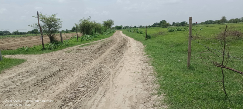  Residential Plot 20 Bigha for Sale in Etmadpur, Agra
