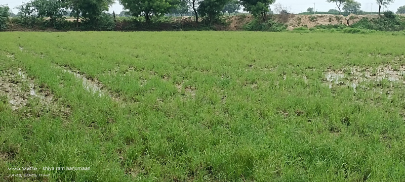  Residential Plot 2 Bigha for Sale in Fatehabad Road, Agra