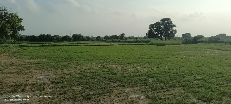  Residential Plot 1 Bigha for Sale in Fatehabad Road, Agra