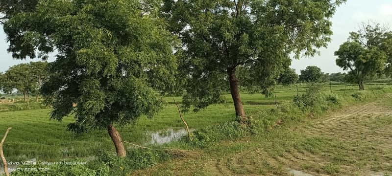  Residential Plot 1 Bigha for Sale in Fatehabad Road, Agra