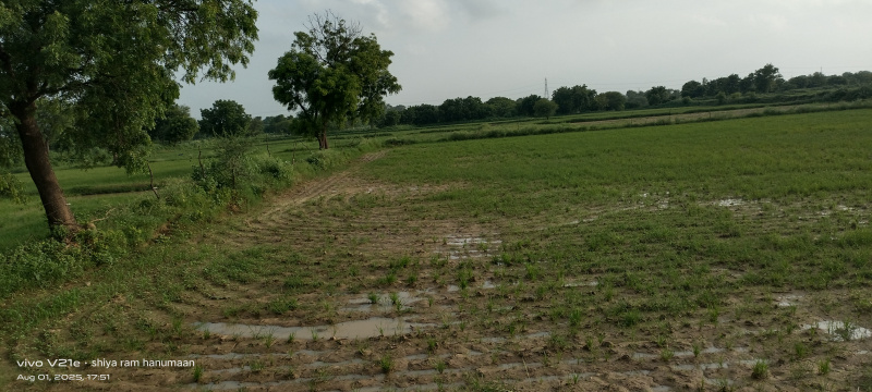  Residential Plot 1 Bigha for Sale in Fatehabad Road, Agra