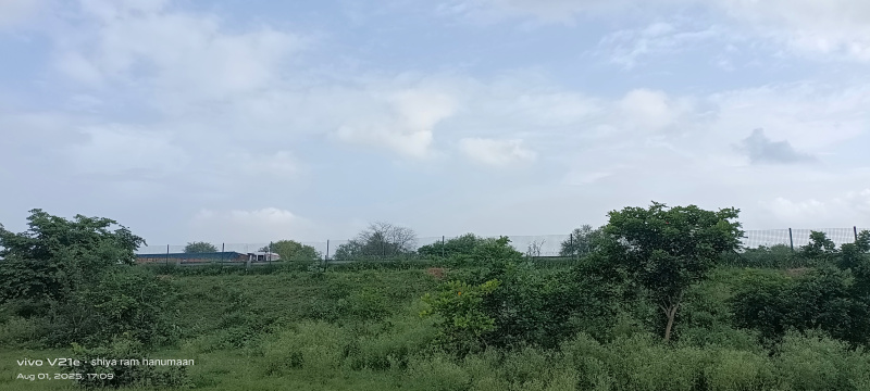  Residential Plot 4 Bigha for Sale in Fatehabad Road, Agra