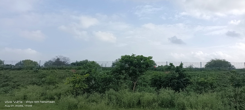  Residential Plot 4 Bigha for Sale in Fatehabad Road, Agra