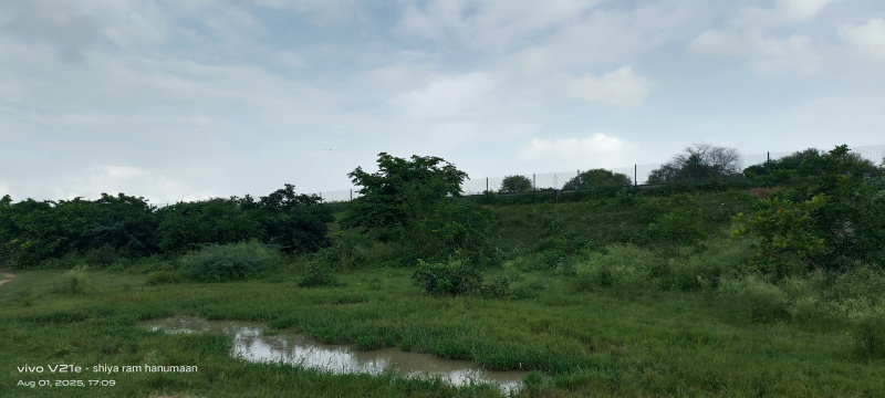  Residential Plot 4 Bigha for Sale in Fatehabad Road, Agra