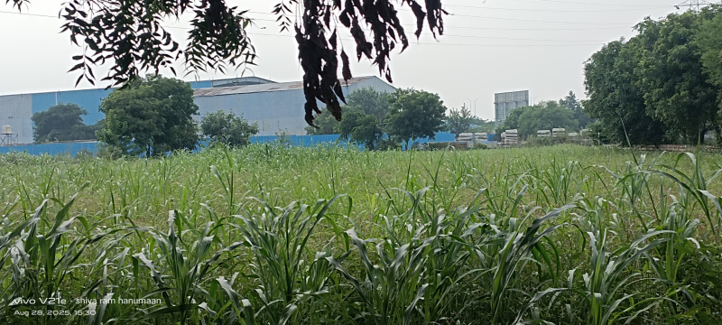  Residential Plot 2 Bigha for Sale in Fatehabad Road, Agra
