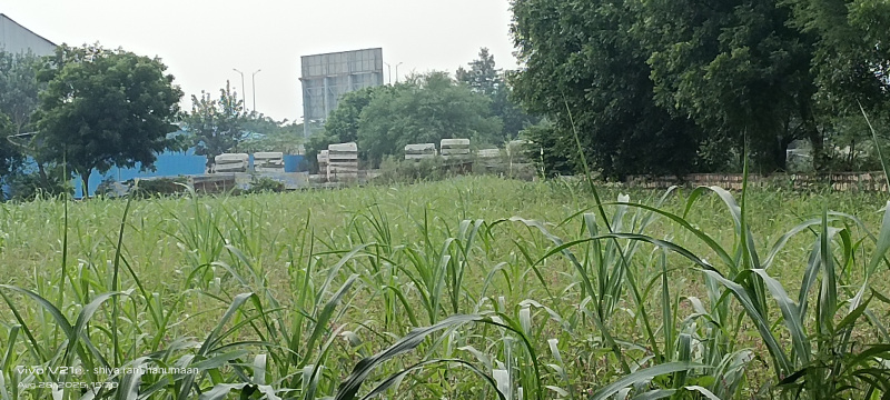  Residential Plot 2 Bigha for Sale in Fatehabad Road, Agra
