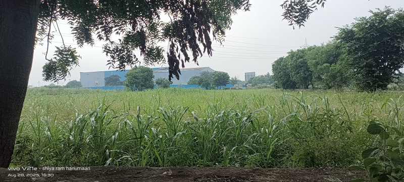  Residential Plot 2 Bigha for Sale in Fatehabad Road, Agra