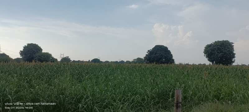  Residential Plot 4 Bigha for Sale in MG Road, Agra