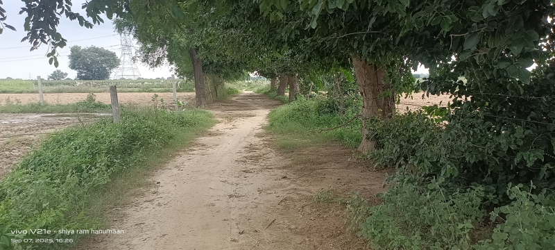 Residential Plot 4 Bigha for Sale in MG Road, Agra