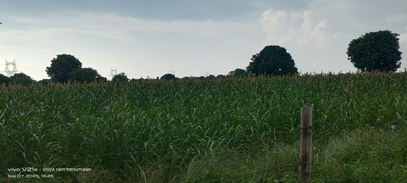  Residential Plot 4 Bigha for Sale in MG Road, Agra